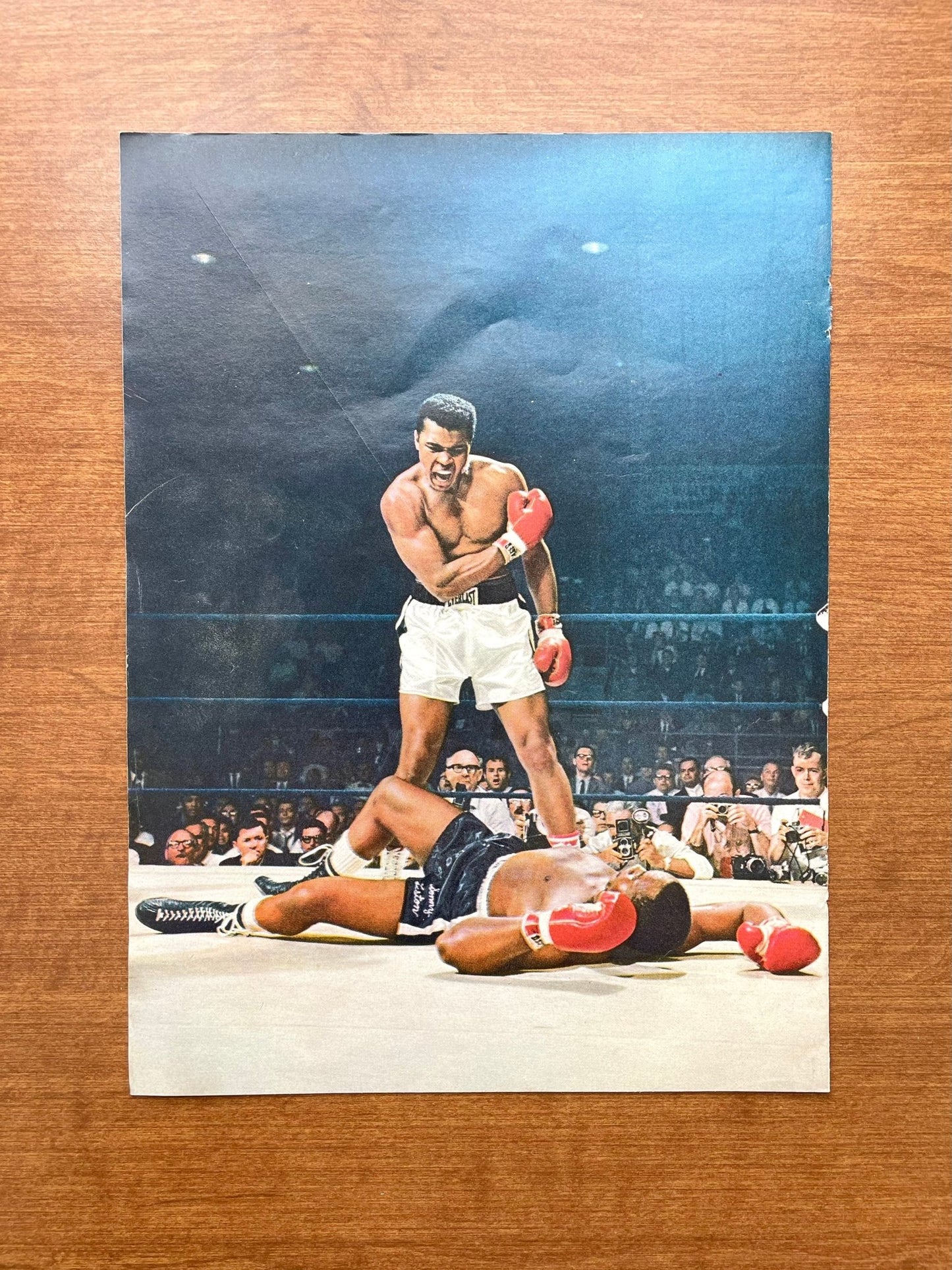 1965 Muhammad Ali "knocks out" Sonny Liston Original Magazine Page Image
