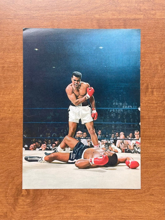1965 Muhammad Ali "knocks out" Sonny Liston Original Magazine Page Image