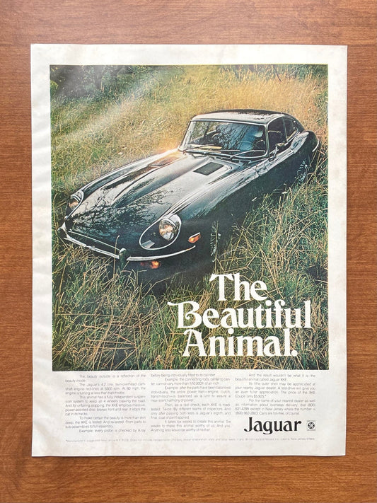 1970 Jaguar XKE "The Beautiful Animal." Advertisement