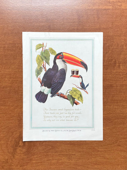 Guinness Beer with Toucan Advertisement