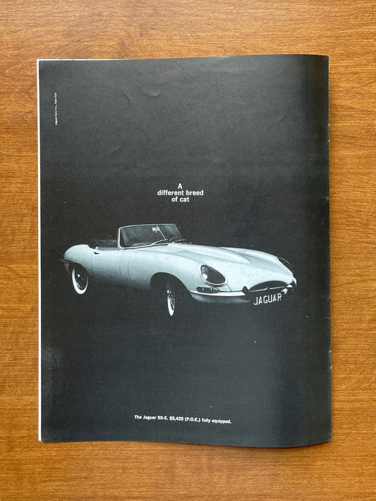 1964 Jaguar XK-E Advertisement