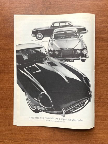 1965 Jaguar 3.8, 4.2, and XK-E Coupe Advertisement
