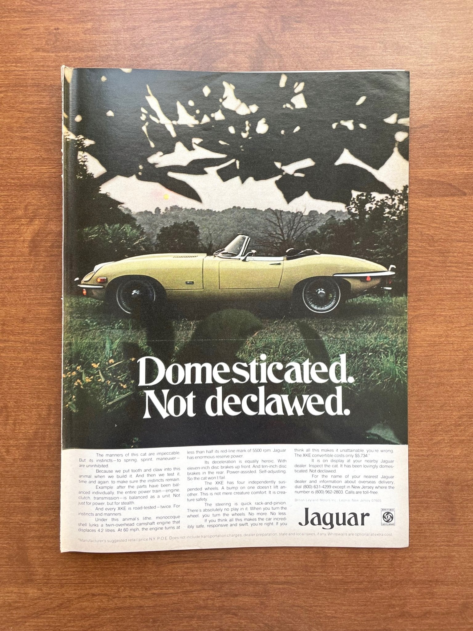 1970 Jaguar XKE "Domesticated. Not declawed." Advertisement