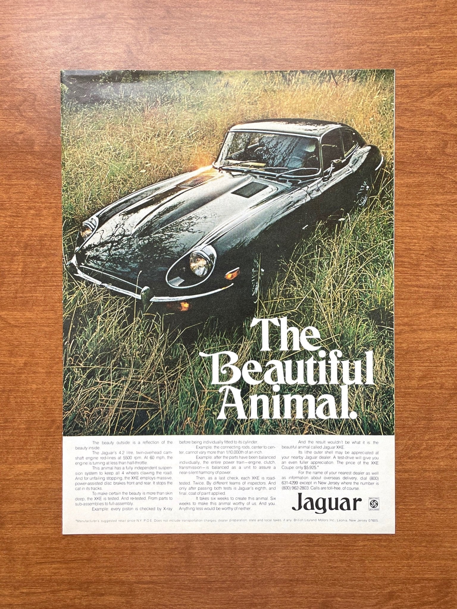 1970 Jaguar XKE "The Beautiful Animal." Advertisement