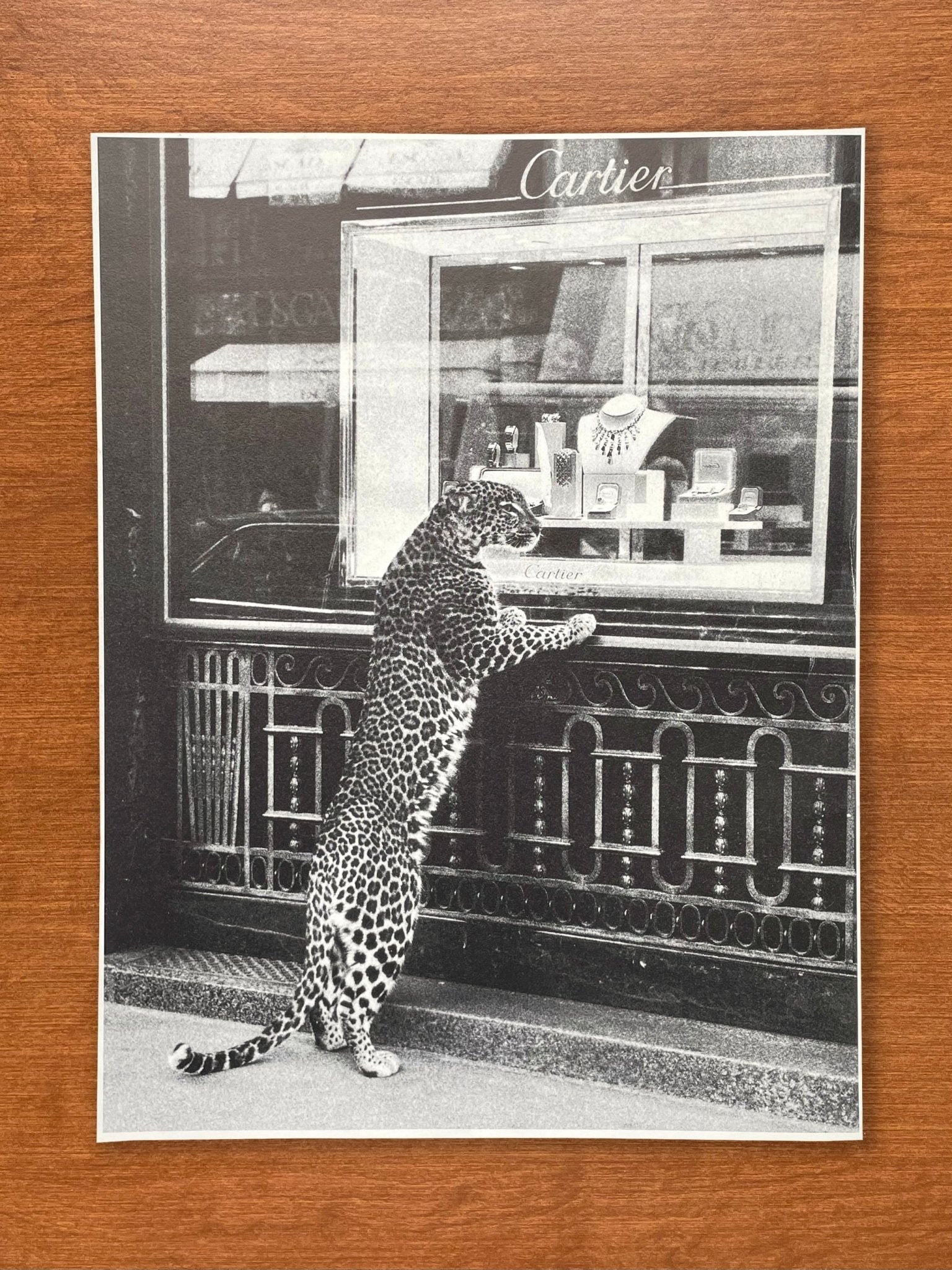 1999 Cartier Panther Looking in Window Advertisement