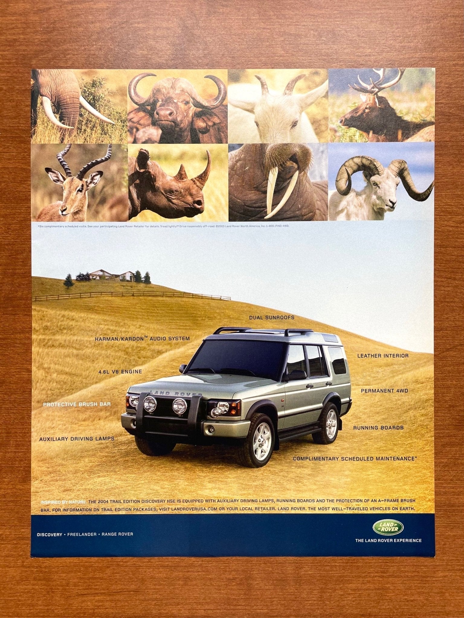 2004 Discovery Trail Edition Advertisement